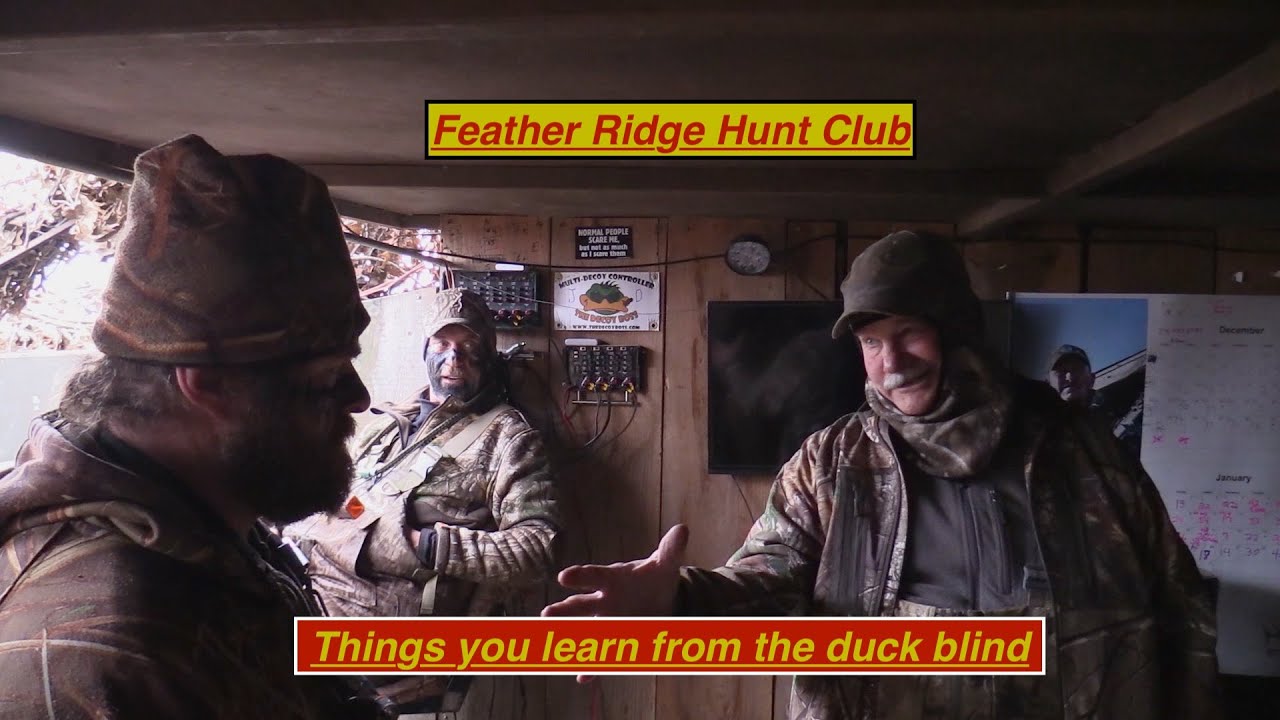 Реальная охота в общественных и частных местах / Истории из засидки. Олени, утки и индейки.