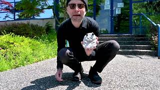 Splat Possum