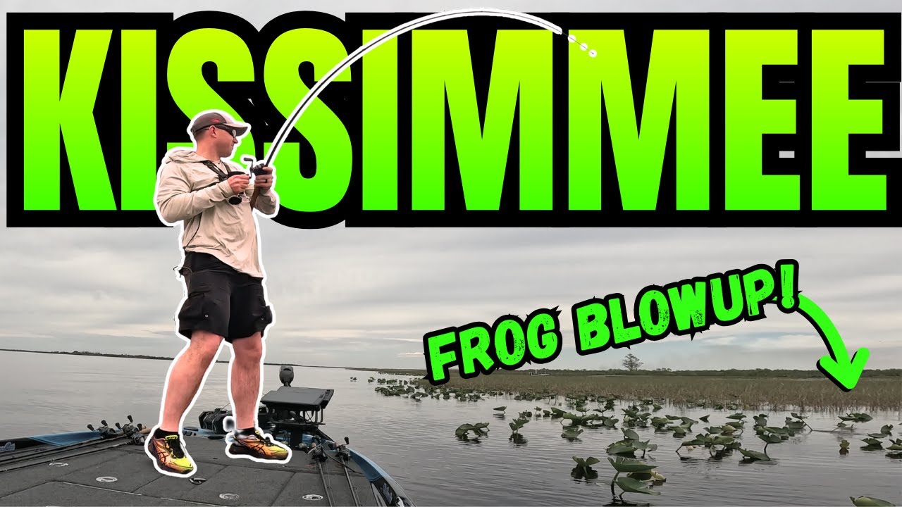 These Bass Were INHALING a Frog | Kissimmee Lake
