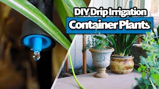 How to Install Drip Irrigation for Containers and Potted Plants (Complete Beginner's DIY Guide)