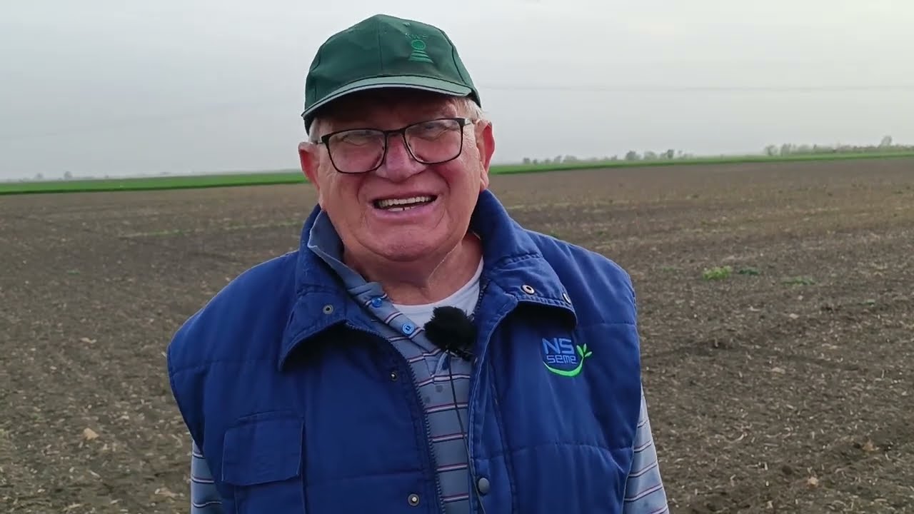 TV BEČEJ: Poranila setva kukuruza u bečejskim atarima