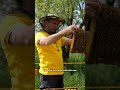 L'importanza dei FUCHI tra le nostre API #mattthefarmer #shorts #api