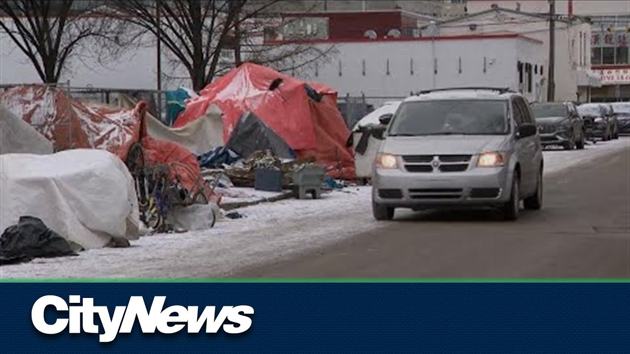 What is shelter capacity as Edmonton police prepare to take down encampments?