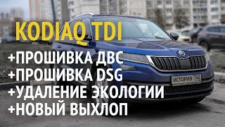 Skoda Kodiaq 2.0TDI 2019. История доработок. Пробег 121000 км