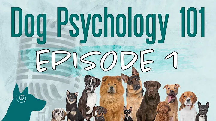 Podcast Ep. 1 | Dog Psychology vs. Human Psychology (Natural Dog Behavior) - DayDayNews