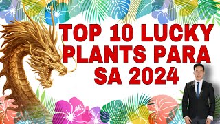 TOP 10 LUCKY PLANTS PARA SA 2024 YEAR OF THE WOOD DRAGON