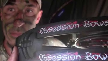 Obsession Bows - Phoenix