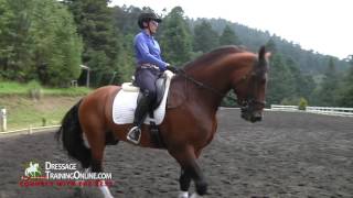 How to get hind end engagement by Cesar Torrente How to get hind end engagement by Cesar Torrente