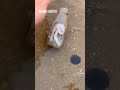 思うツボで草