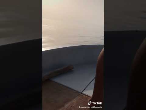 تفكيري في الهجره