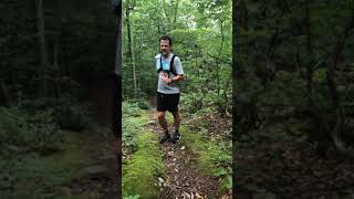 Bimblers Bluff 50k Course Preview Section 4