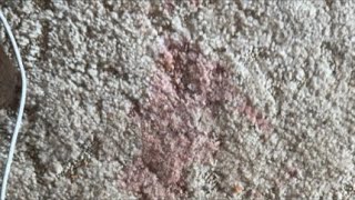 Full Live with Katie: KENNETH!!! Had An “Accident” On My Carpet… So Guess Where We Need To Go… Update