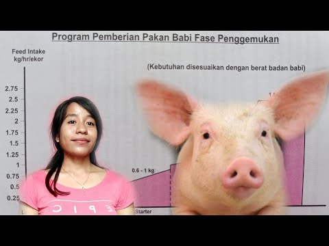 Video: Mengevaluasi Kualitas Lemak Dan Minyak Pakan Dan Pengaruhnya Terhadap Kinerja Pertumbuhan Babi