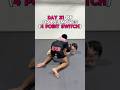 Day 31 of OP BJJ moves (4 Point Switch)