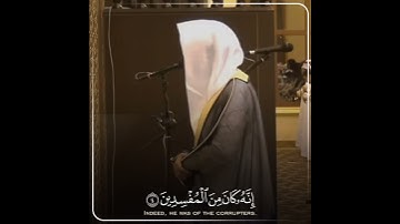 (ما تيسر من سورة القصص) #تلاوة_خاشعة #ناصر_القطامي #اكتب_شي_تؤجر_عليه #ياسرالدوسري