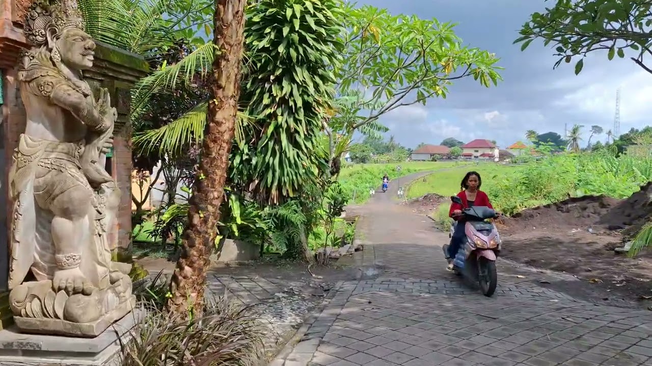 "A Tranquil Walk Through Bali’s Rice Fields | No Commentary, Just Nature"