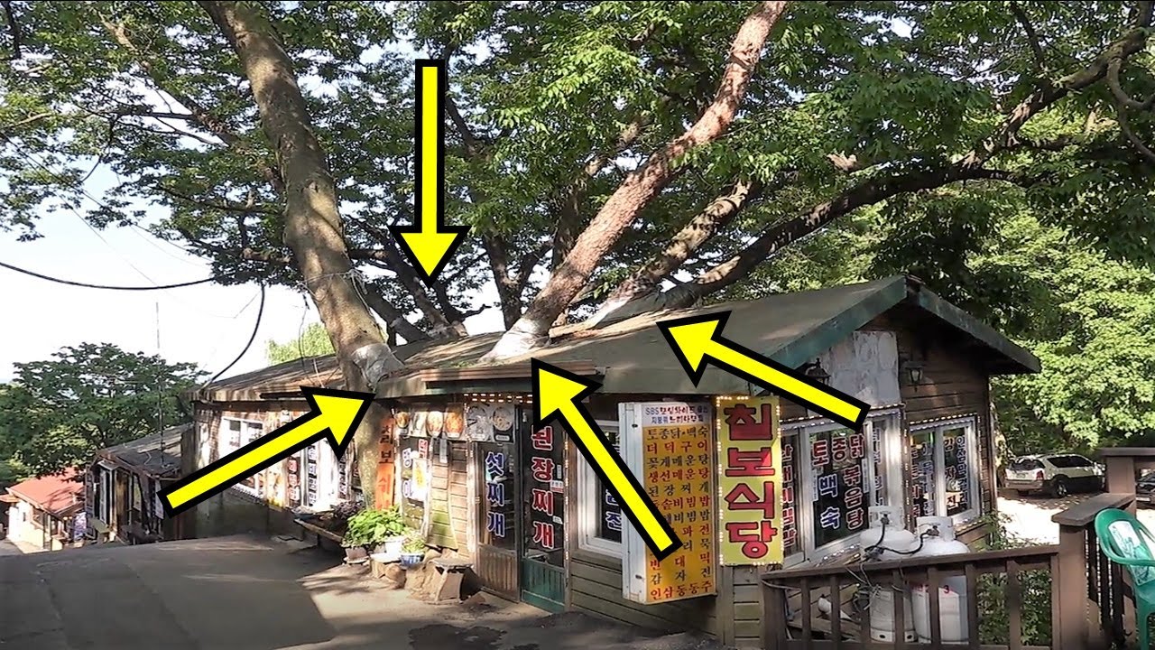 チルボ食堂の紹介画像 (1/1)