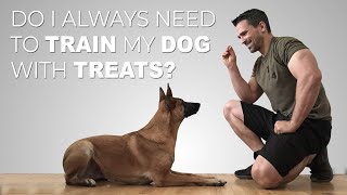 Do I always need to train my dog with treats? Episode 5