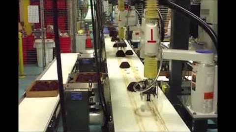 AMI Vision Guided Tray Packing