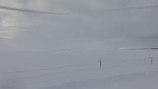 Flatruet