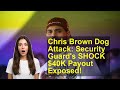 Chris Brown Dog Attack: Security Guard's SHOCK $40K Payout Exposed!