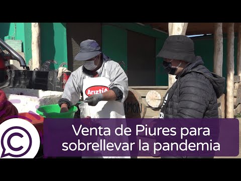 Roberto Poblete y su venta de Piures en Playa Hermosa