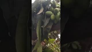 welcome tu mere gaon ka antim Mausam #campingvideo #cooking #campping #food #villagelife #recipe