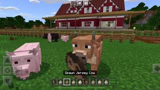 Minecraft farm life animals