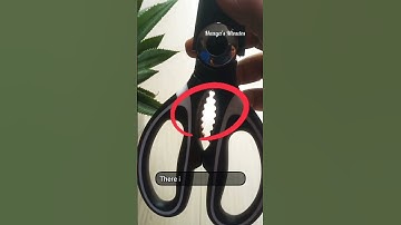 kitchen product from Amazon/fish🐟,meat🍗,vegetables🥦cutting scissors from amazon#shorts #amazon