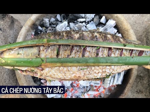 Video: Cá Chép Nướng Rau Củ