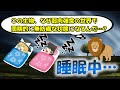 睡眠中は危険なのに、なぜ進化の過程で睡眠は淘汰されなかったのか？【ゆっくり解説】