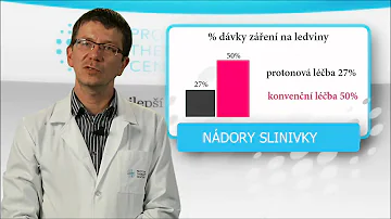 Co je slinivka břišní?