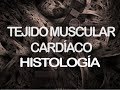 Músculo estriado cardíaco | Histología