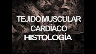 Músculo estriado cardíaco | Histología