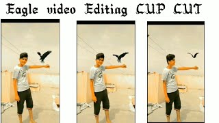Eagle Editing Video Cap Cut Tik Tok Trend