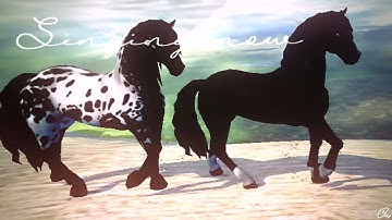 Star Stable Online - MEP Part Collection #2