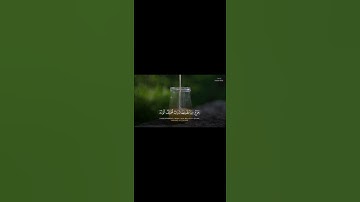 مقطع من سورة النحل