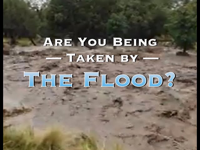 Are You Being Taken By The Flood? class=