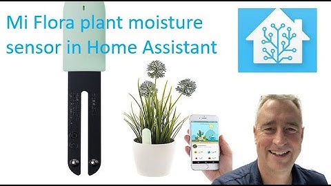 Mi Flora plant moisture sensor in HOME ASSISTANT