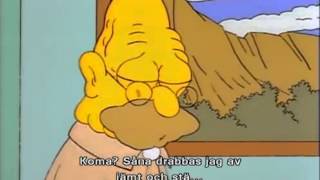 Grampa Simpson - Coma