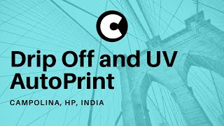 Campolina Autoprint Drip off and UV machine