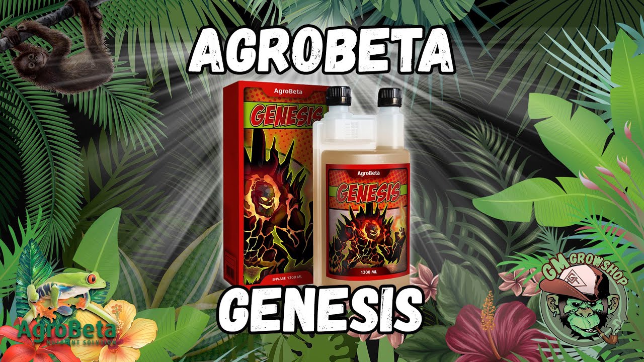 GENESIS - AGROBETA