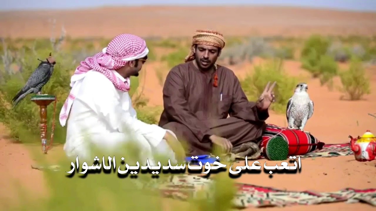 شيلة يا اهل الولع || كلمات عزيز السعدي || اداء محمد الدلان