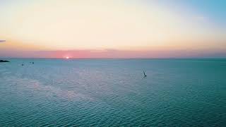 ROAR AFRICA | Explore our MOZAMBIQUE