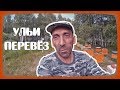 КОЧЕВАЯ ПАСЕКА.  Перевёз ульи