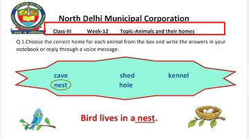 Class 3 English Week 12 (19/8/21)  Animals and their Homes @KNOWLEDGEKINGDOMsolution