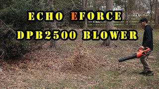 Echo eForce DPB2500 X series Hand Blower