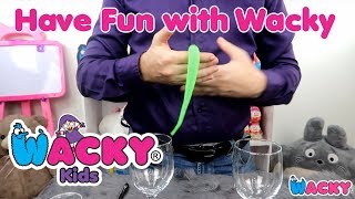 Wacky Worm Looks Alive - Magic Trick worm is fun to play with 