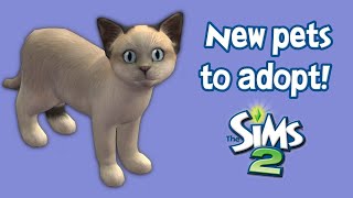 The Sims 2: Refresh the Pet Adoption Pool! (  useful pets mods)