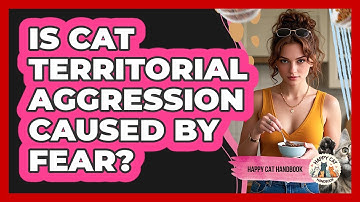 Is Cat Territorial Aggression Caused By Fear?